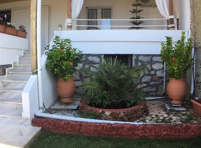 Beautiful House *