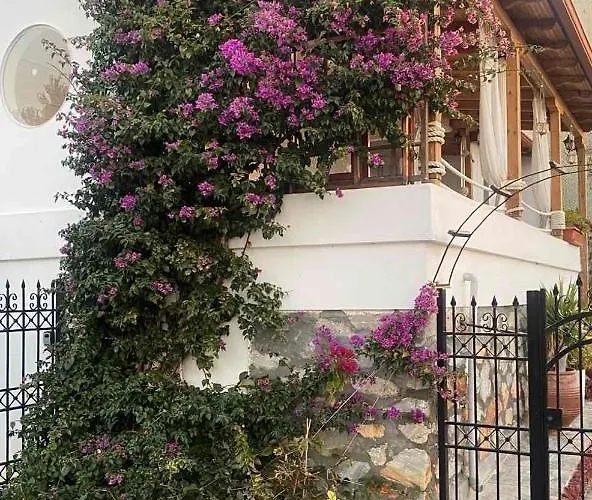 Villa Beautiful House