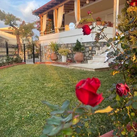 Villa Beautiful House *
