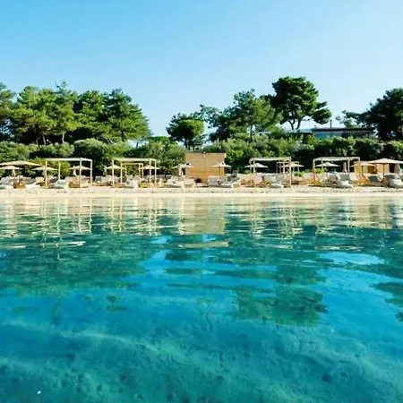 Beautiful House Villa *