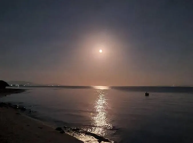 别墅 Beautiful House *