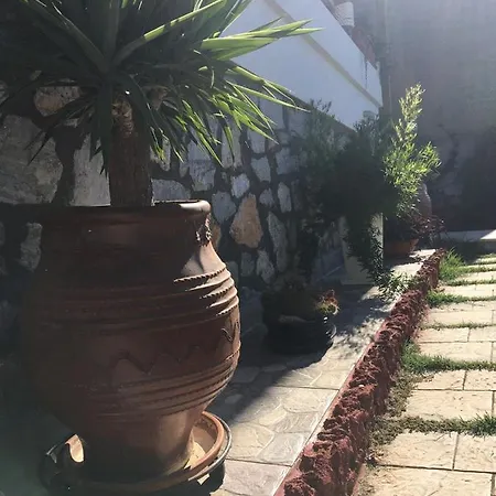 Villa Beautiful House *