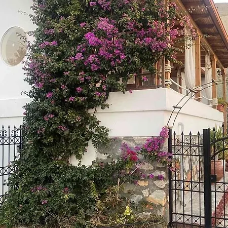 Villa Beautiful House